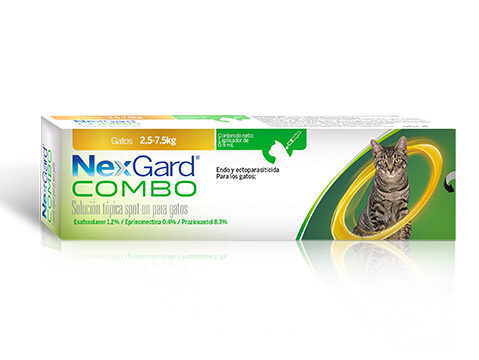 nexgard spectra gatos95