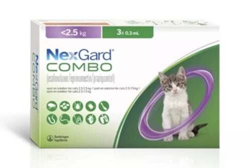 pastillas desparasitantes gatitos22