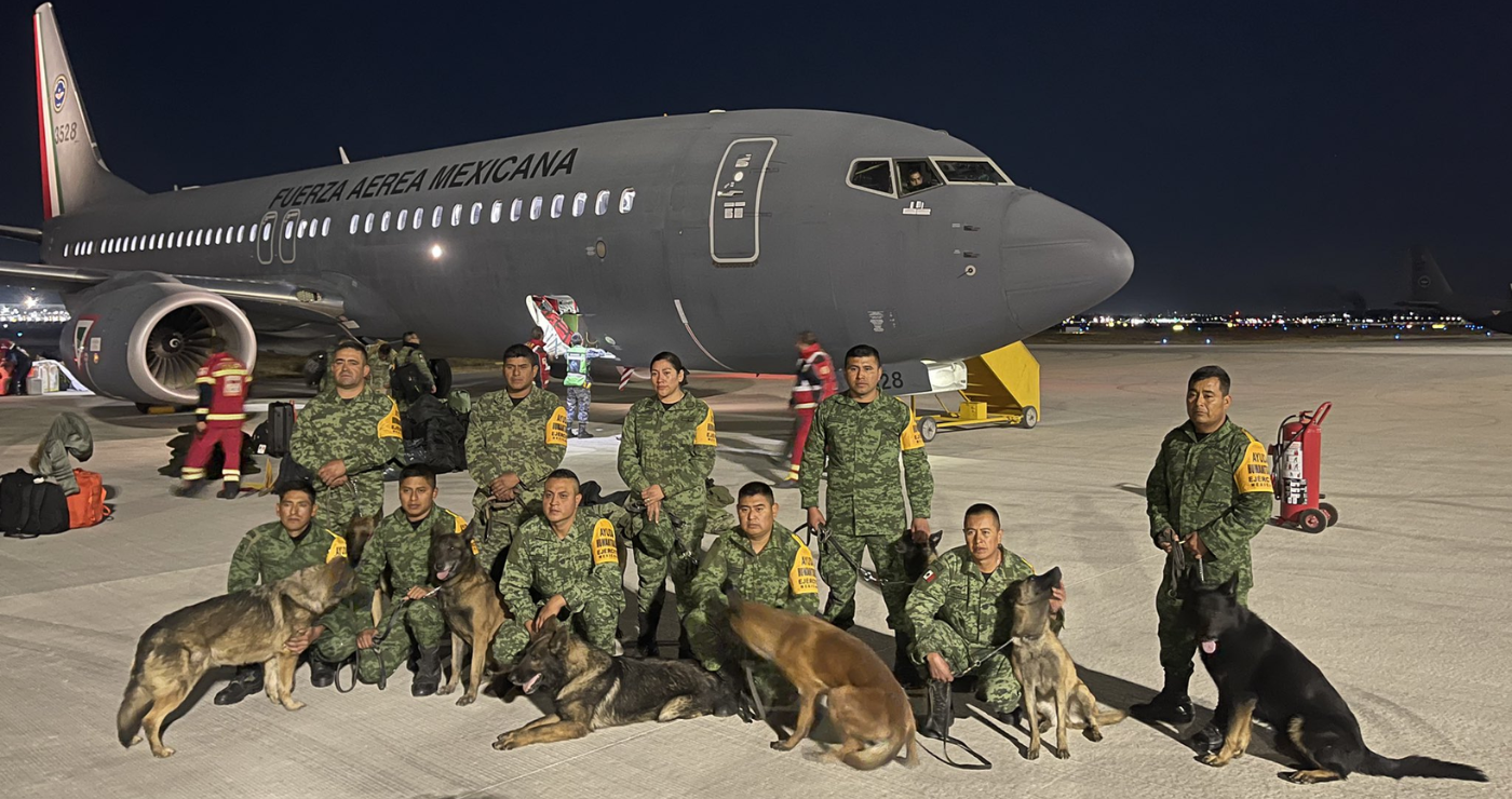 Perros salvadores: historias de canes que protegen a sus dueños 1 perros salvadores historias de canes que protegen a sus duenos