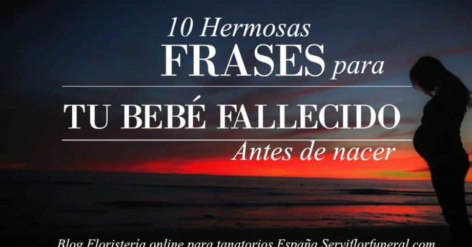 texto emotivo para mi perro descubre como expresarle tu amor