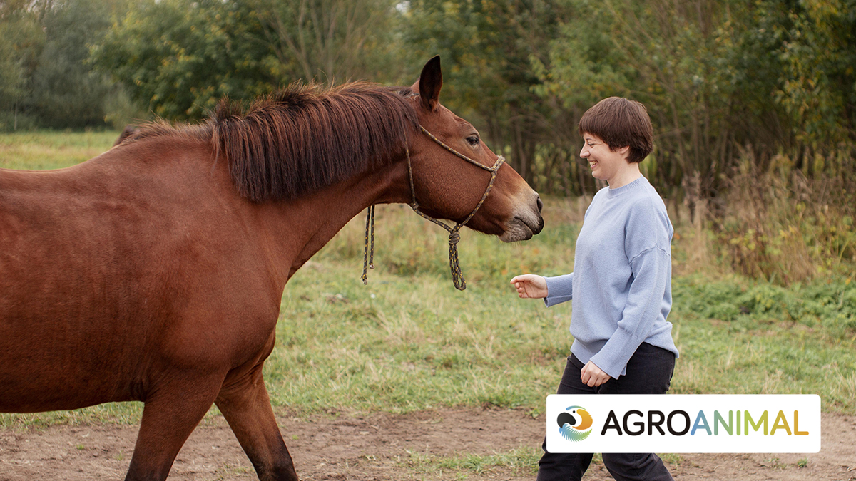 Todo lo que debes saber sobre las crías del caballo: cuidados y curiosidades 1 todo lo que debes saber sobre las crias del caballo cuidados y curiosidades