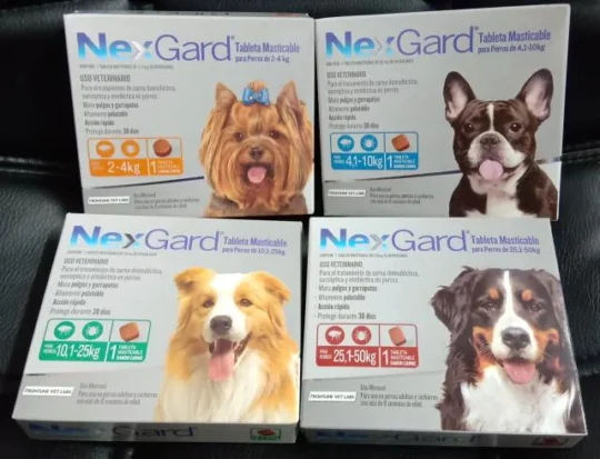 El vinagre: un aliado natural para la salud de tu perro