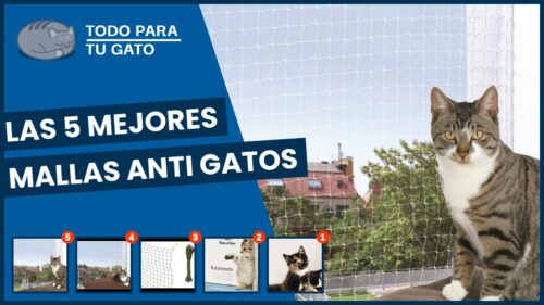 5. Control de la salud